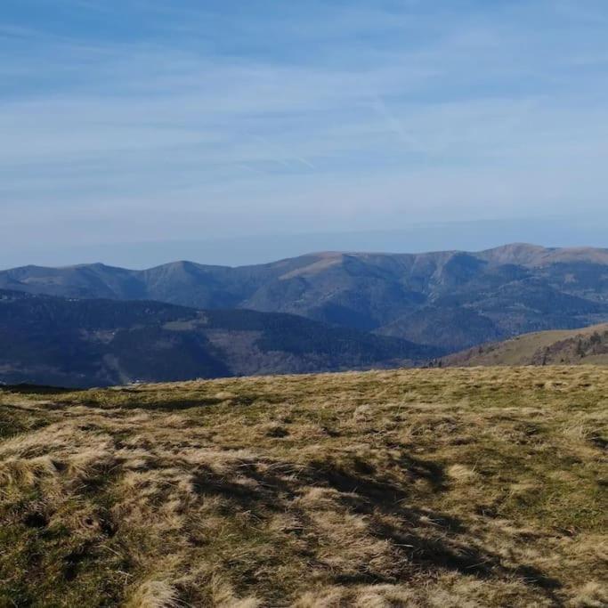 Aux Balcons De La Vallee Soultzeren Εξωτερικό φωτογραφία