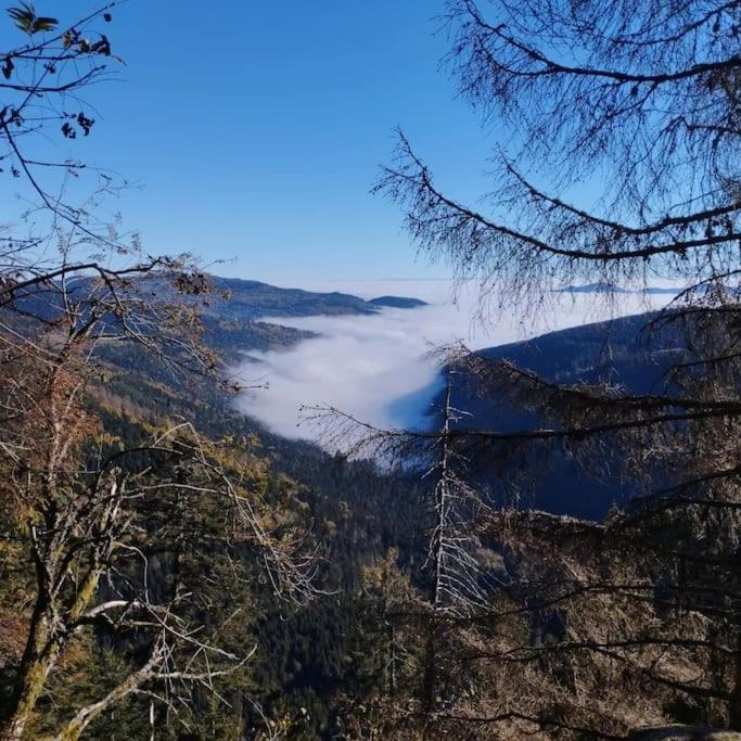 Aux Balcons De La Vallee Soultzeren Εξωτερικό φωτογραφία