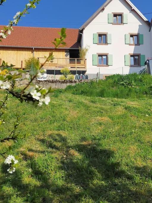 Aux Balcons De La Vallee Soultzeren Εξωτερικό φωτογραφία